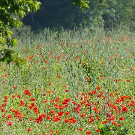 Au Ptit Coquelicot Villa Houyet Exterior photo